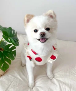 Alternative view of Lightweight Summer Dog Vest Shirt – Cute Cotton T-Shirt for Small Dogs & Cats (Chihuahua, Yorkie, French Bulldog)