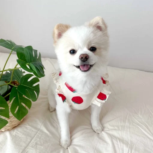 Lightweight Summer Dog Vest Shirt – Cute Cotton T-Shirt for Small Dogs & Cats (Chihuahua, Yorkie, French Bulldog) - Image 2