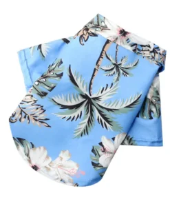 See23197b6a024b5bb63ffa3fa8423ffep