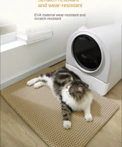 Sf900275836104d718f840d2e6615024as 1