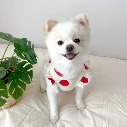 Lightweight Summer Dog Vest Shirt – Cute Cotton T-Shirt for Small Dogs & Cats (Chihuahua, Yorkie, French Bulldog) - Image 9
