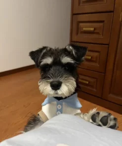 Sfc1d44774ebd4176a7286b7210ccbd678